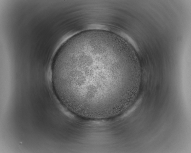 X0000113741125200909301006