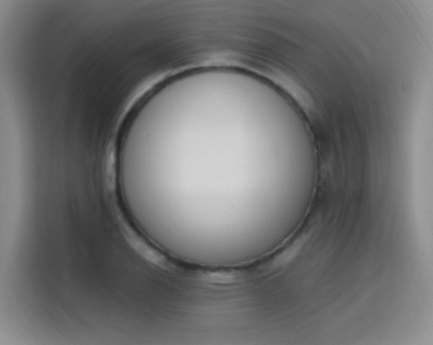 X0000113741126200909301006