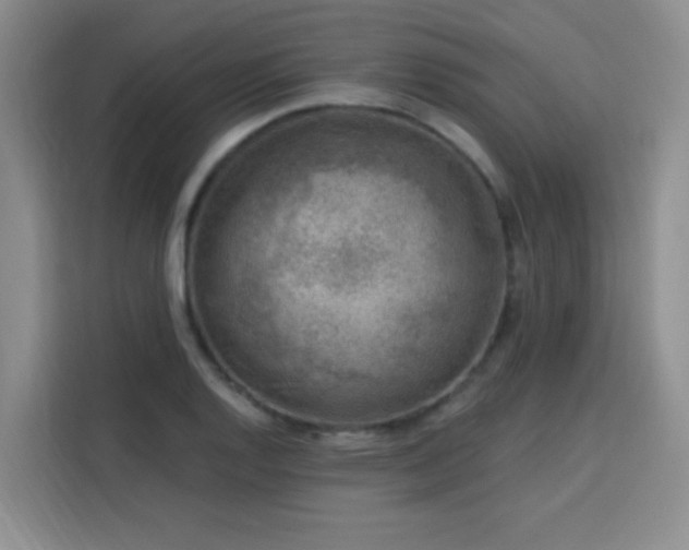 X0000113741128200909301006