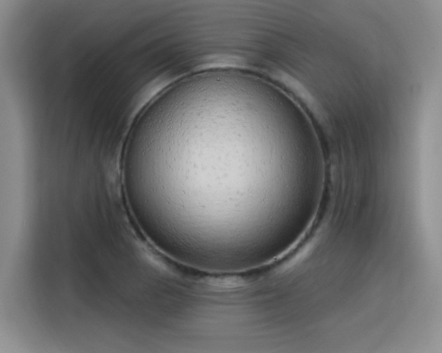 X0000113741129200909301006