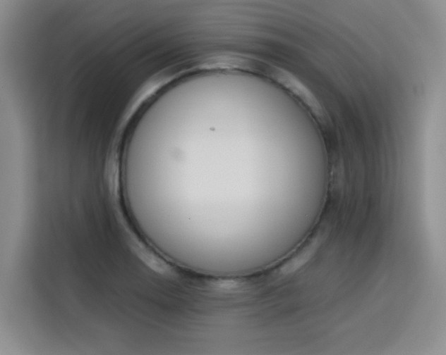 X0000113741130200909301006