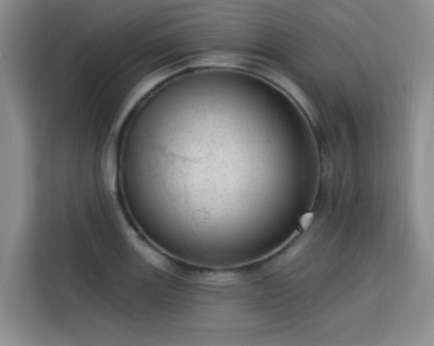 X0000113741131200909301006