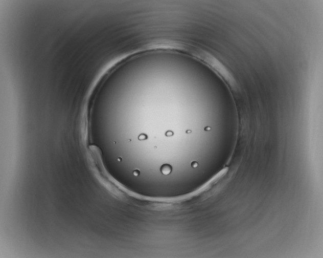 X0000113741132200909301006