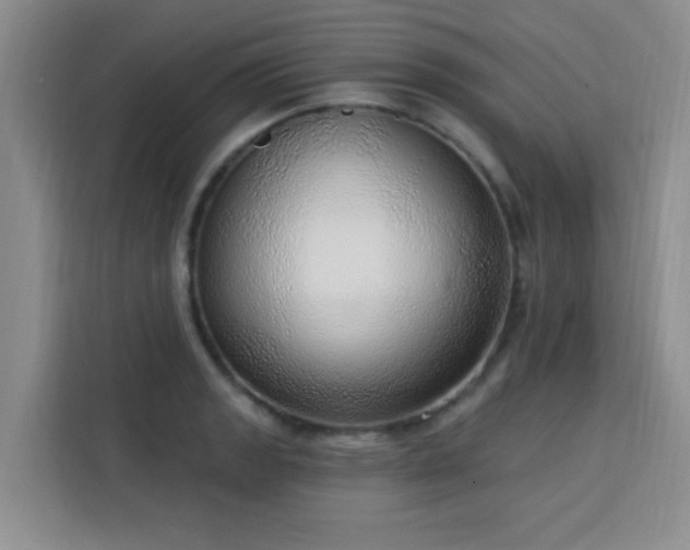 X0000113741133200909301006