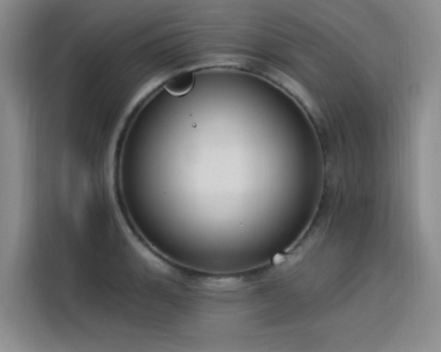 X0000113741135200909301006