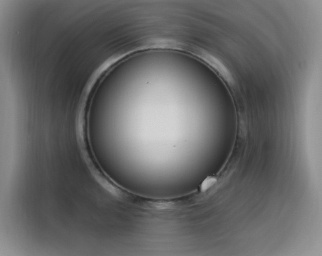 X0000113741136200909301006