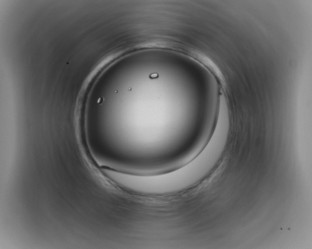 X0000113741138200909301006