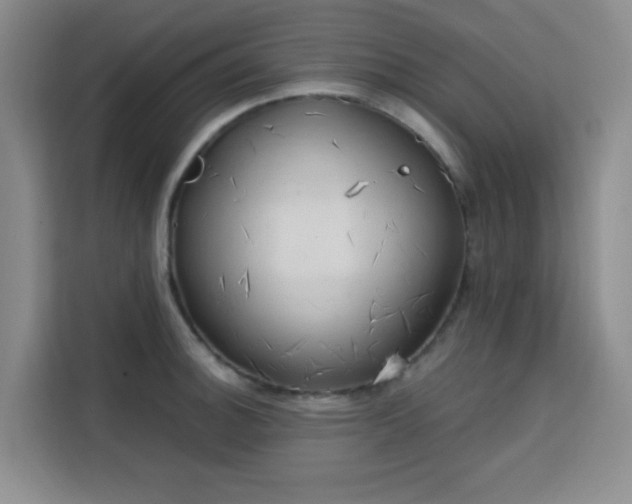 X0000113741140200909301006