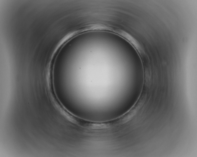 X0000113741142200909301006