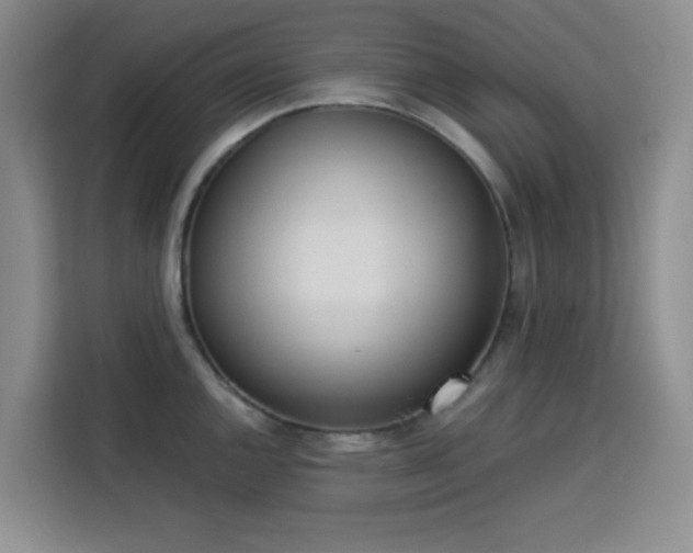 X0000113741144200909301006