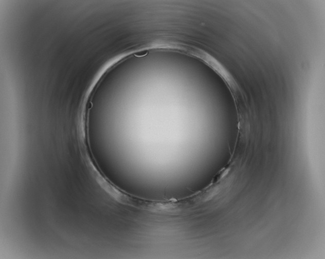 X0000113741148200909301006