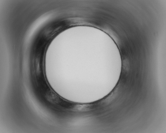 X0000113741150200909301006