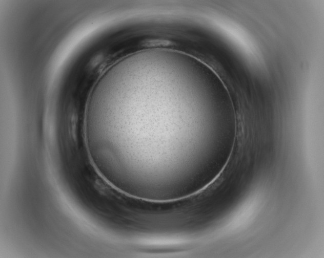 X0000113741151200909301006