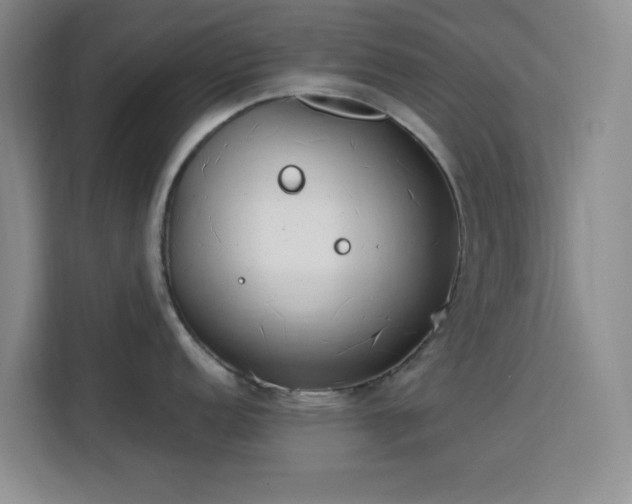 X0000113741152200909301006