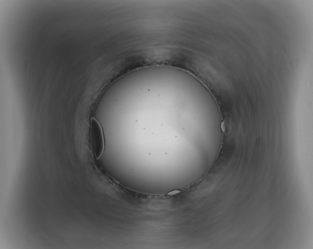 X0000113741153200909301005