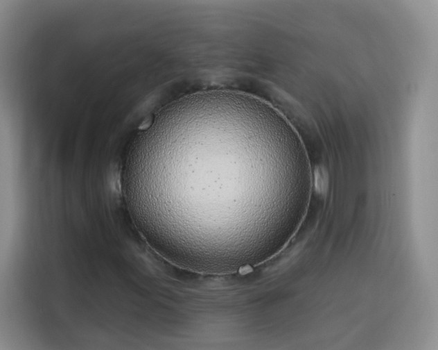 X0000113741155200909301005