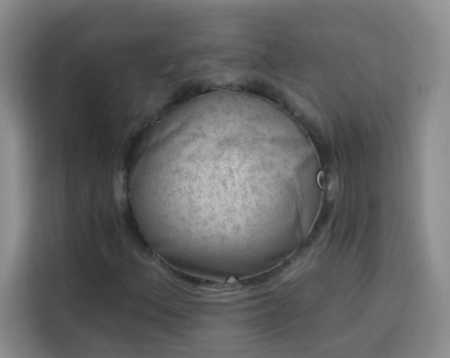 X0000113741156200909301005