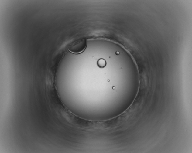 X0000113741158200909301005