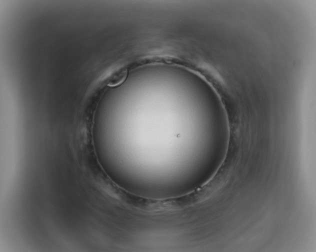 X0000113741159200909301005