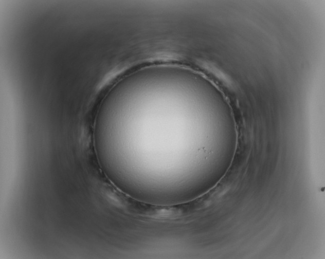 X0000113741160200909301005