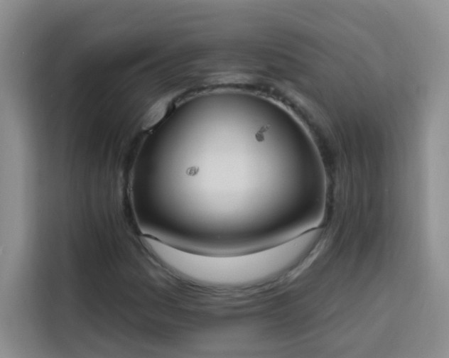 X0000113741161200909301005