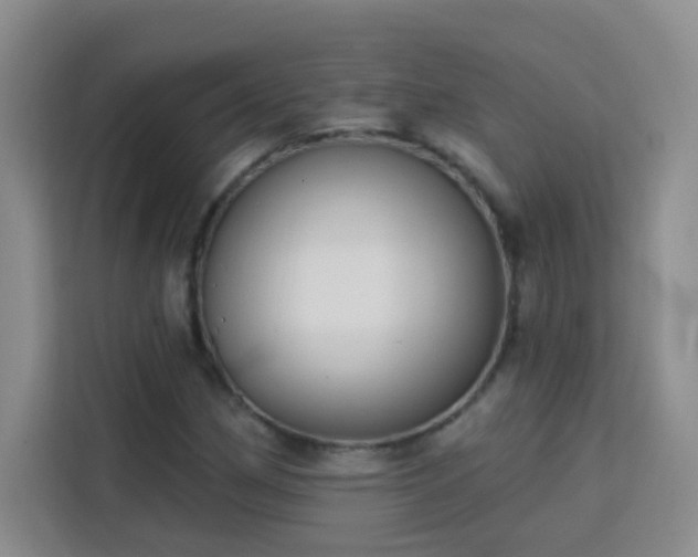 X0000113741162200909301005