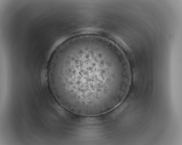 X0000113741164200909301005