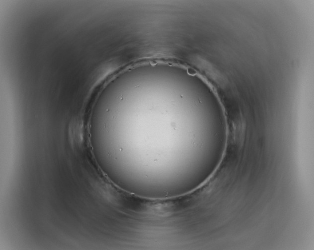 X0000113741165200909301005