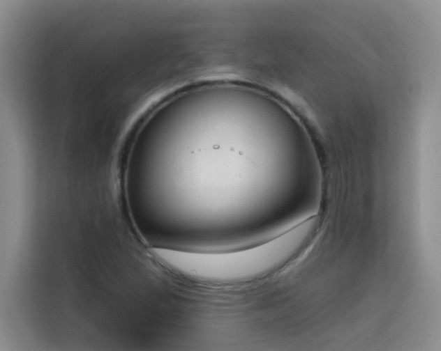 X0000113741167200909301005