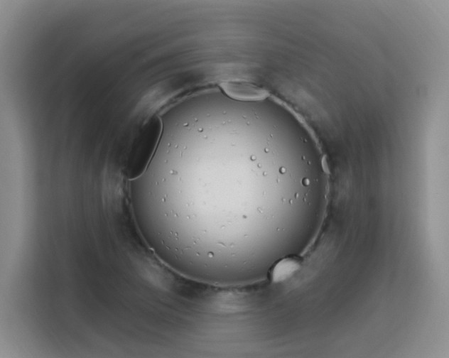 X0000113741169200909301005