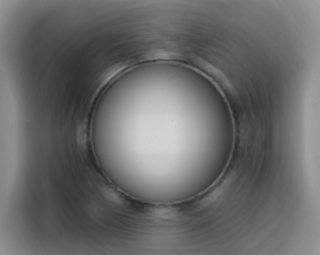 X0000113741170200909301005