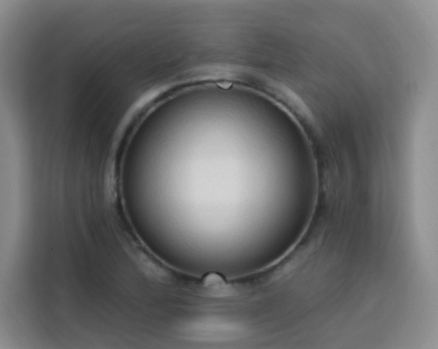 X0000113741172200909301005