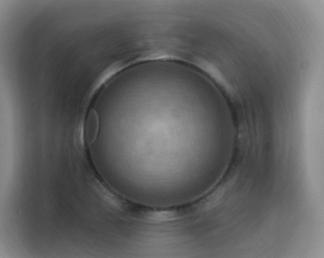 X0000113741173200909301005