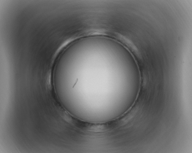 X0000113741174200909301005