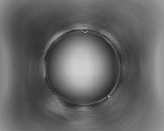 X0000113741175200909301005