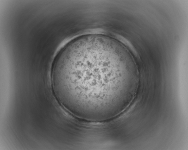 X0000113741176200909301005