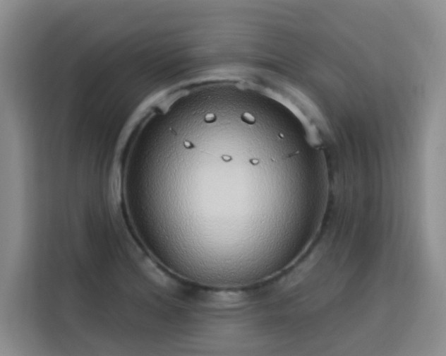 X0000113741180200909301005