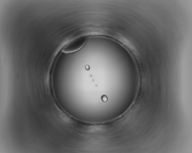 X0000113741181200909301005