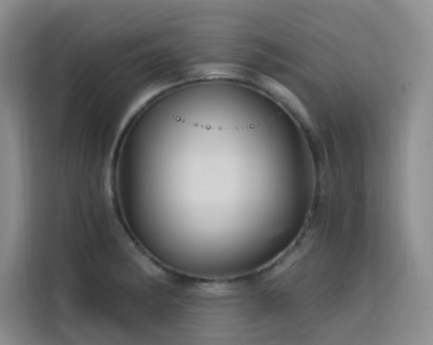 X0000113741182200909301005