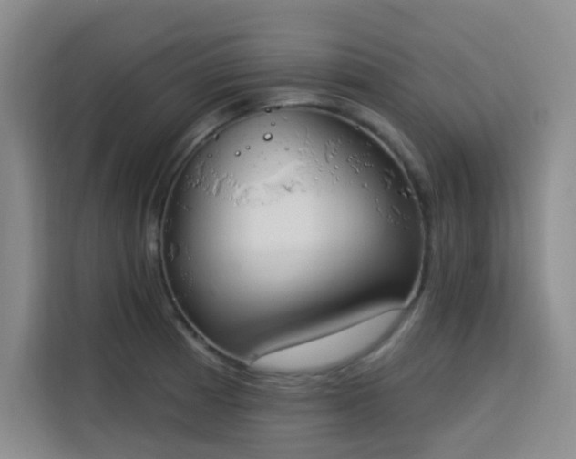 X0000113741185200909301005