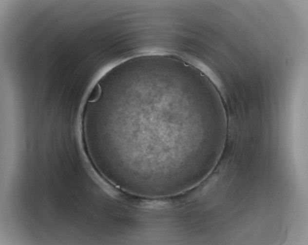 X0000113741187200909301005