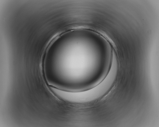 X0000113741189200909301005