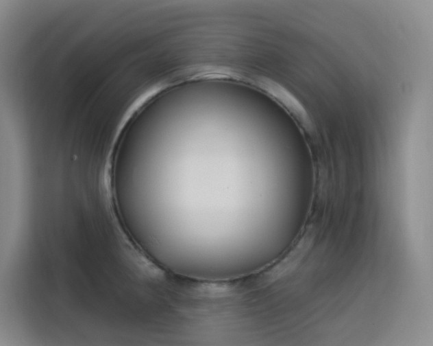 X0000113741190200909301005