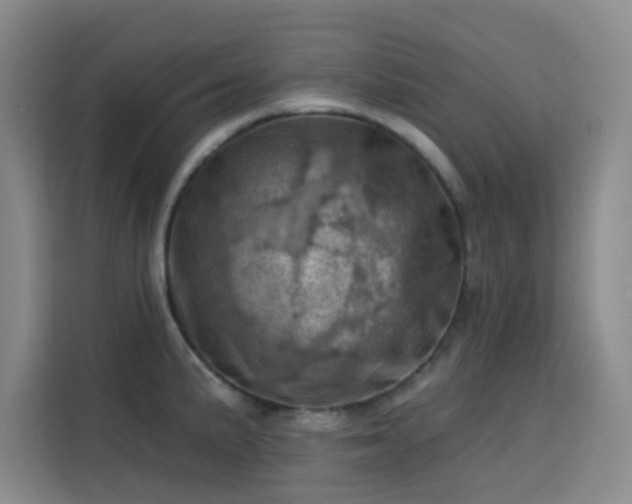 X0000113741191200909301005