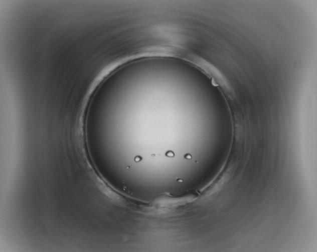 X0000113741192200909301005