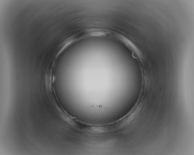 X0000113741194200909301005