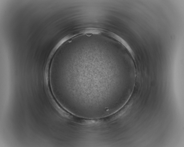 X0000113741195200909301005