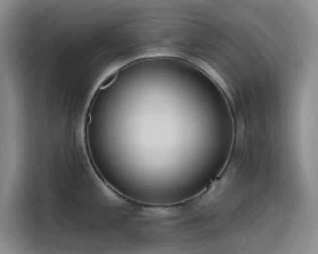 X0000113741197200909301005