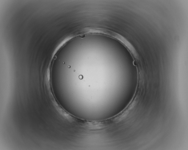 X0000113741198200909301005