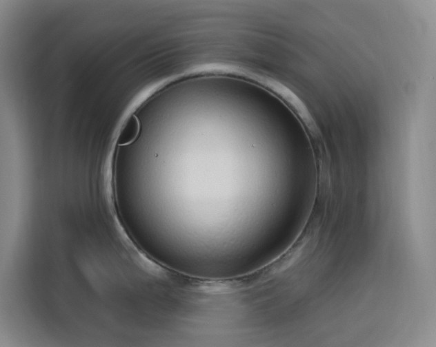 X0000113741199200909301005